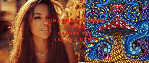 молекула духа Балахна