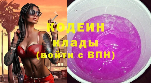 молекула духа Балахна
