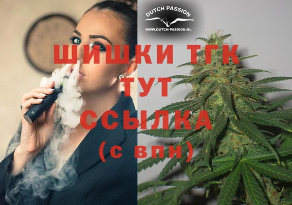 молекула духа Балахна