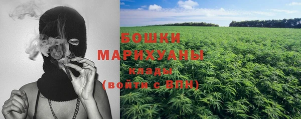 молекула духа Балахна