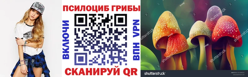 Купить где  Узловая  Галлюциногенные грибы MAGIC MUSHROOMS 